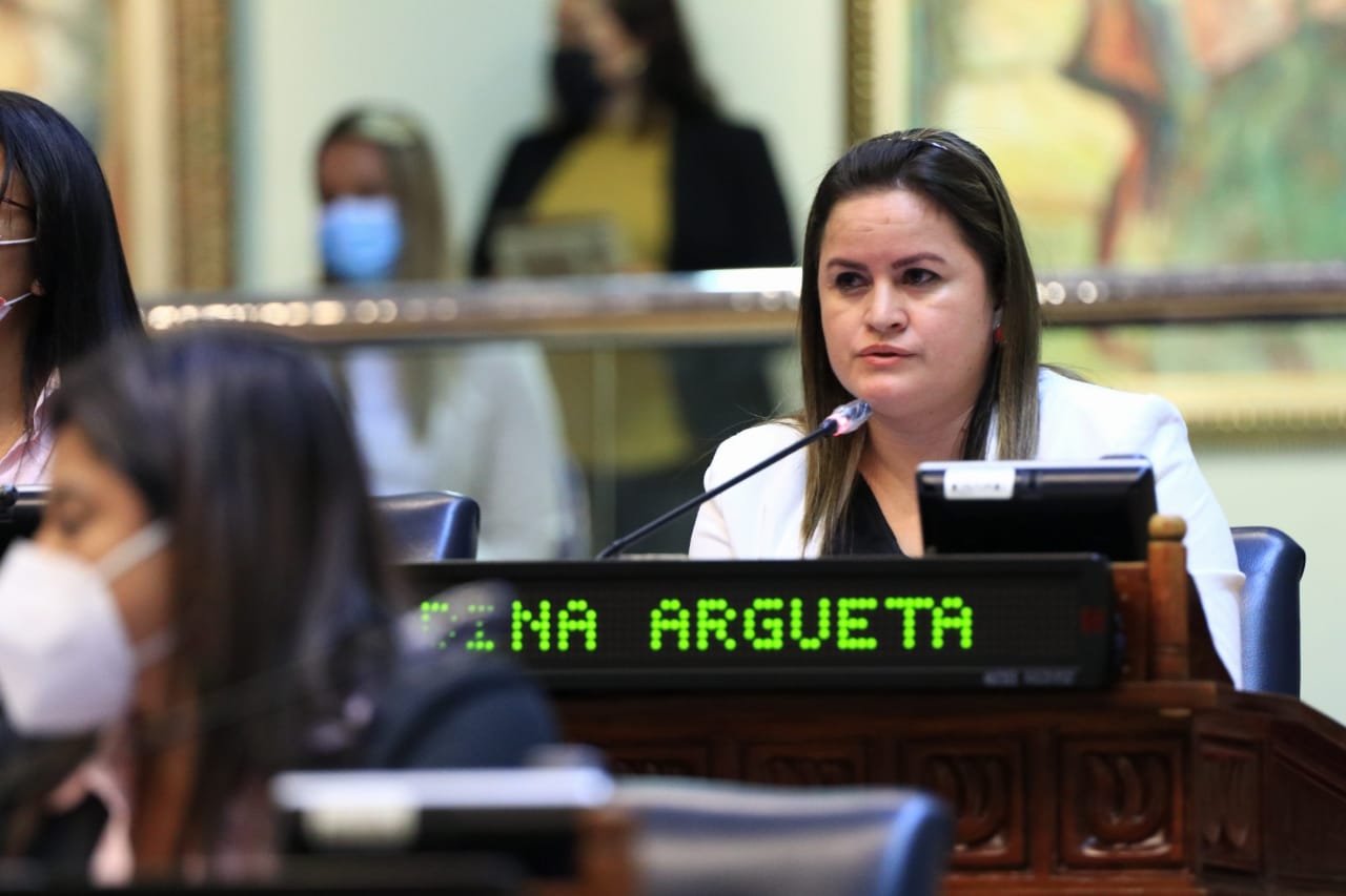 FMLN votó en contra de financiamiento del Plan Control Territorial fmln-voto-en-contra-de-financiamiento-del-plan-control-territorial